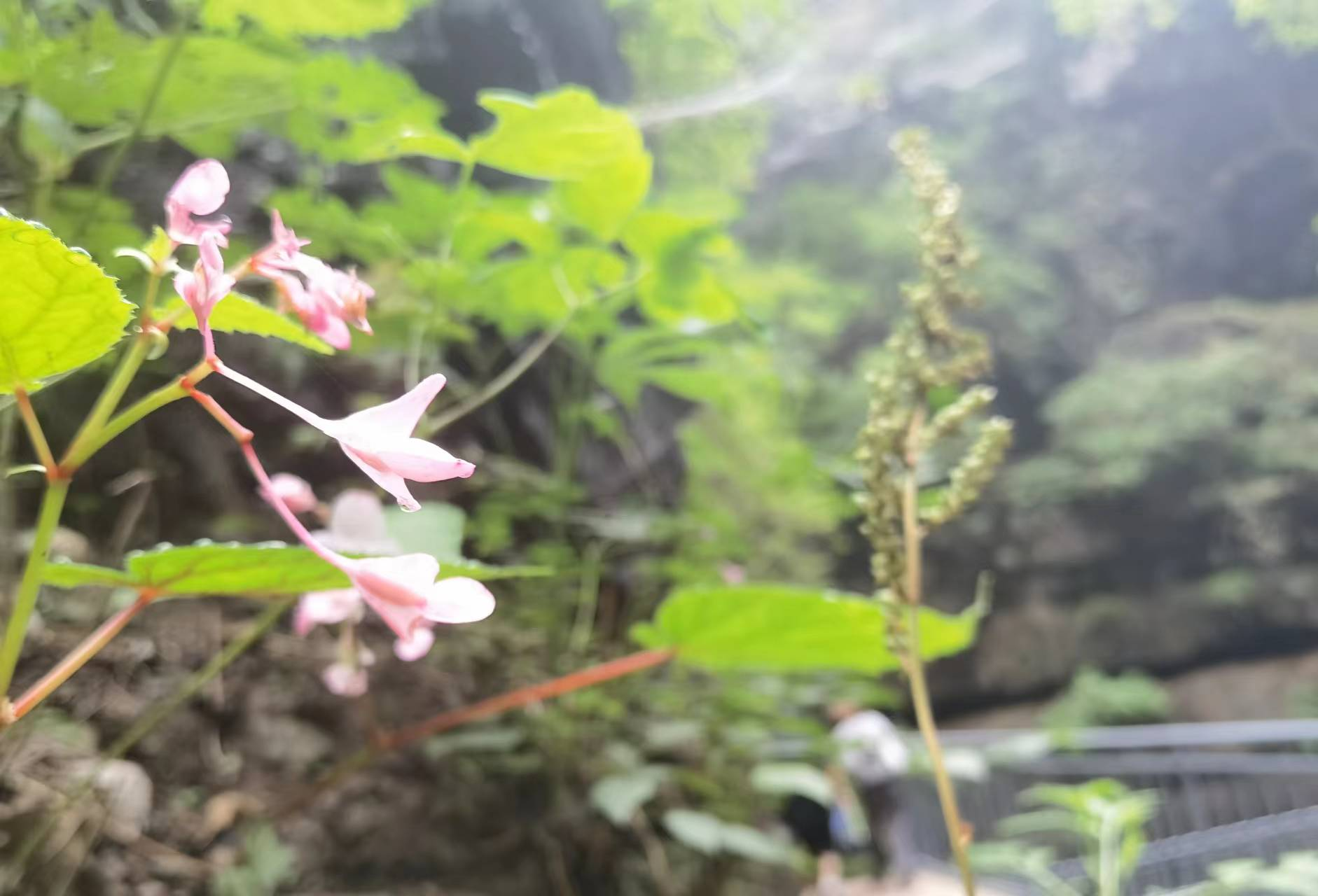 图片2.png 图片2.png