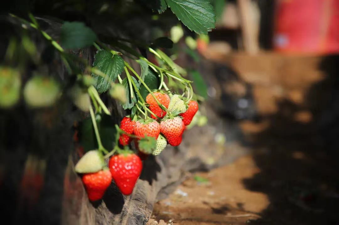 图片2.png 图片2.png