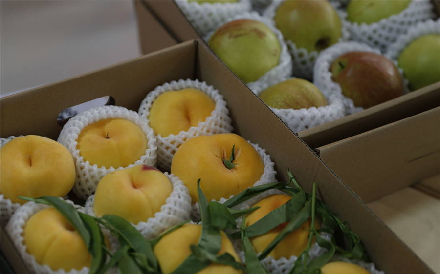 新京报900.jpg 新京报900.jpg