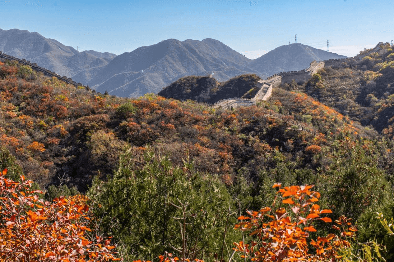 图片1 (19) (1).png