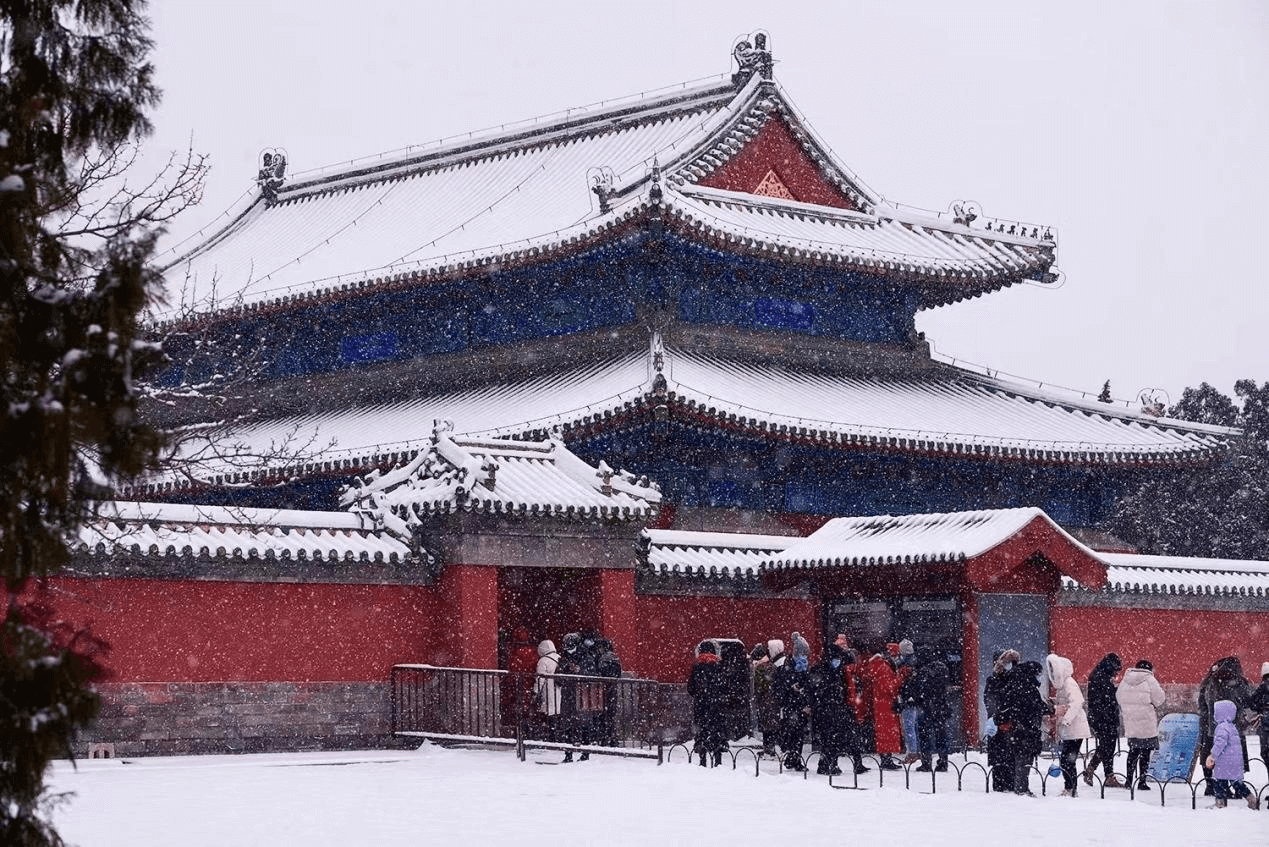 图片2 (24) (1).png