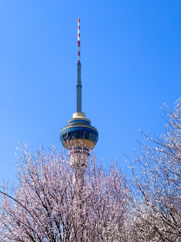 图片1.jpg 图片1.jpg