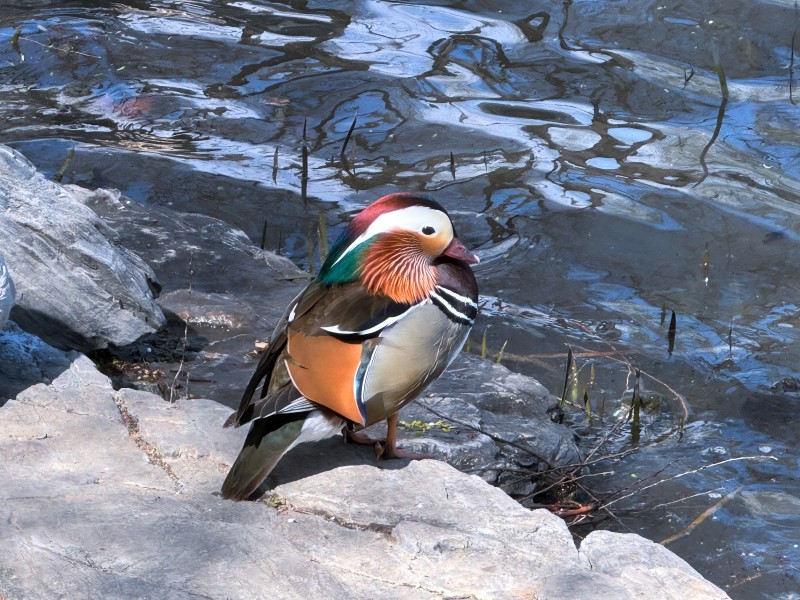 图片3.jpg 图片3.jpg