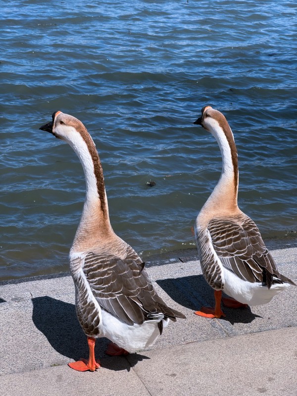 图片4.jpg 图片4.jpg