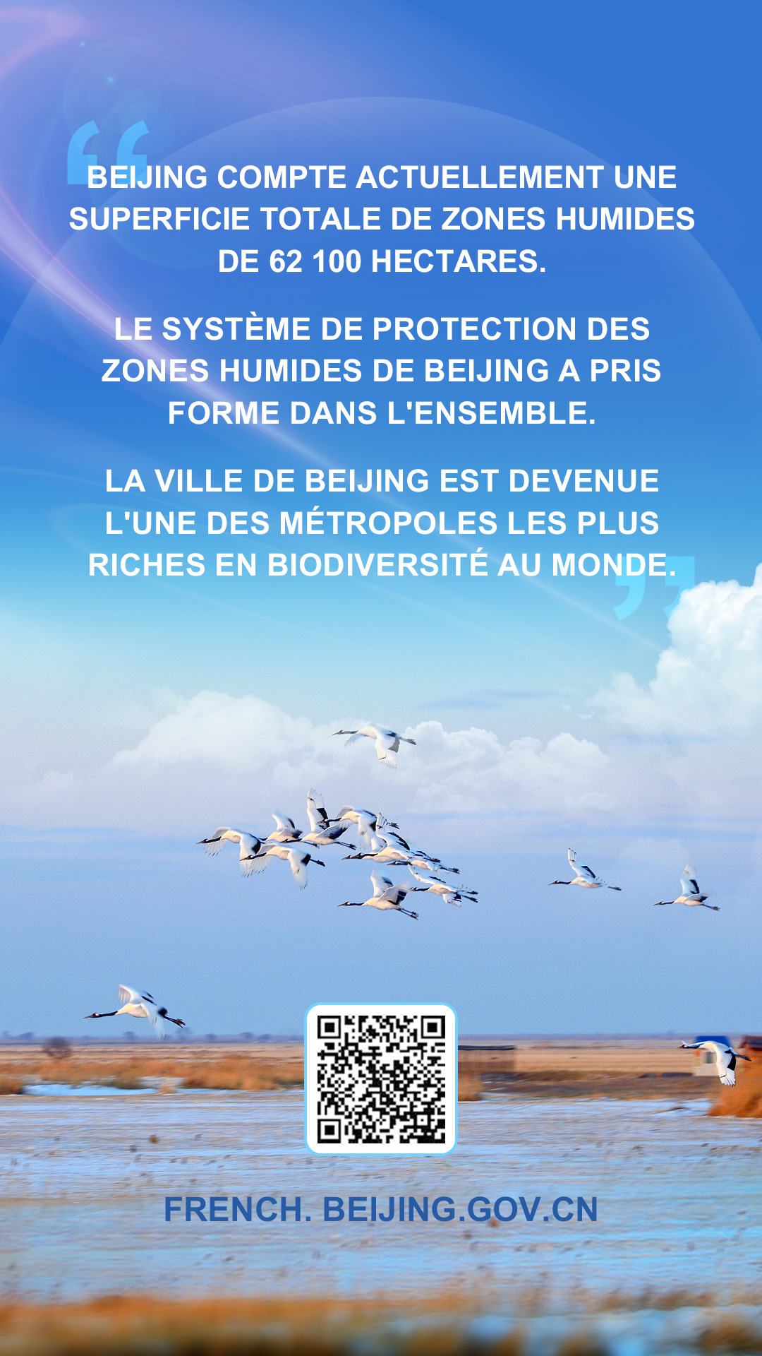 北京湿地保护体系-法语.jpg