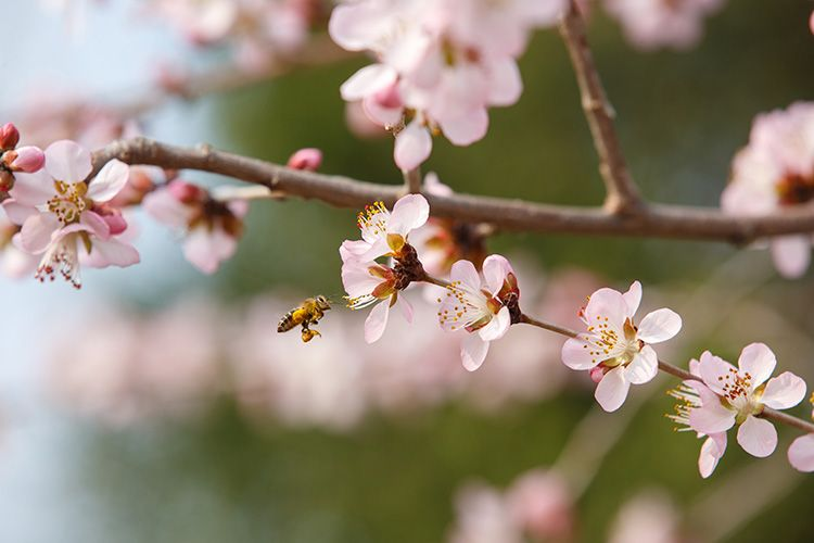 W020230313400656012496.png W020230313400656012496.png