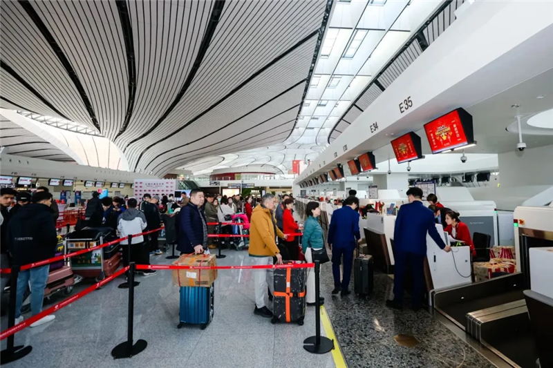 800图片1.png 800图片1.png