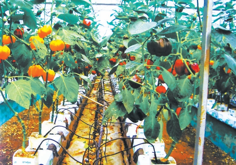 原图.jpg 原图.jpg