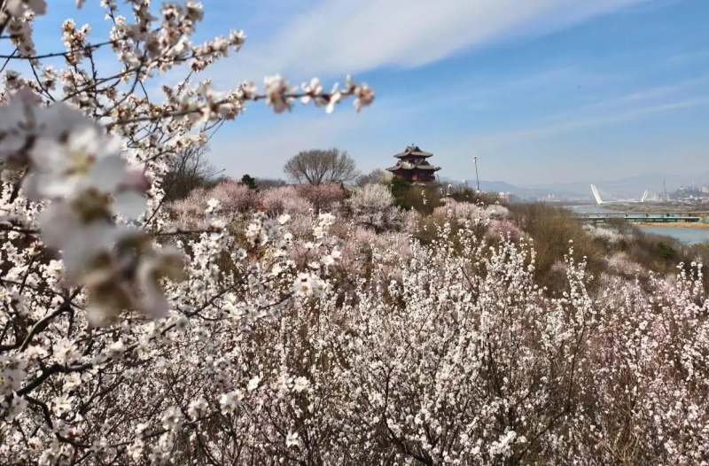 北京日报 正文2.jpg