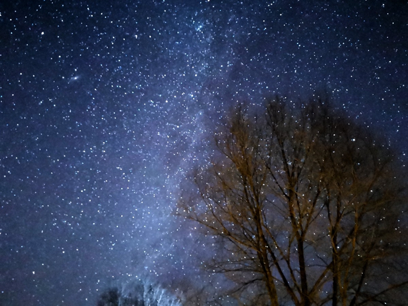 W020201215434421586121.jpeg W020201215434421586121.jpeg