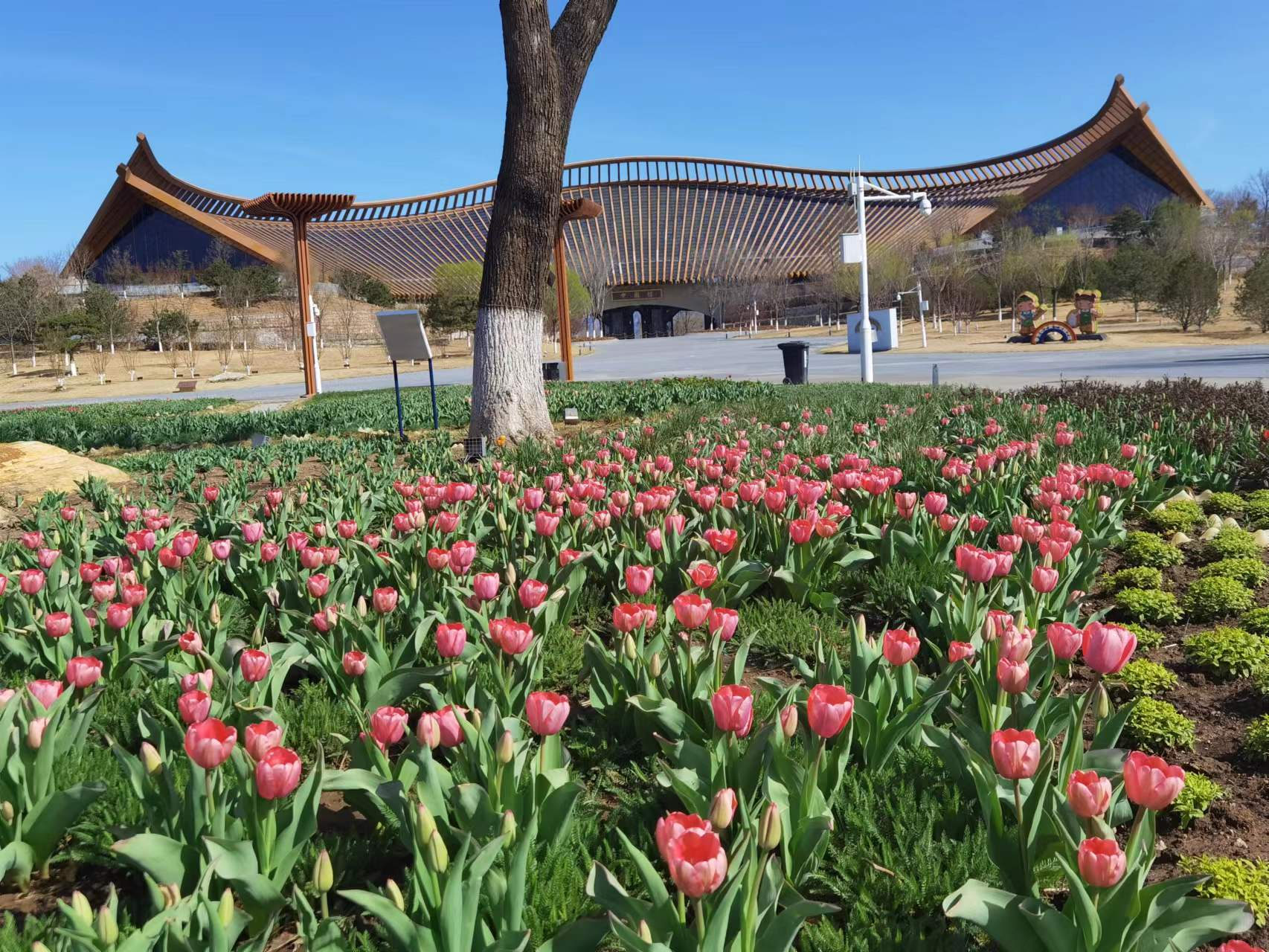 图片3.png 图片3.png