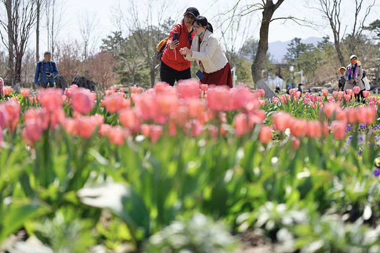 图片4.png 图片4.png