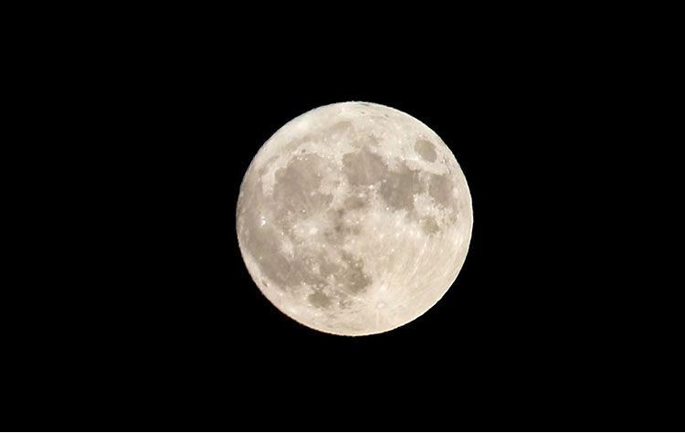 图片4.png 图片4.png