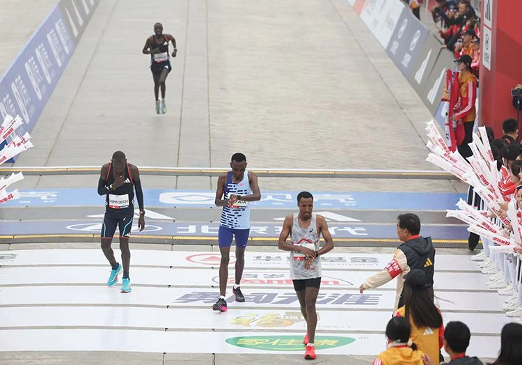 图片33.png 图片33.png