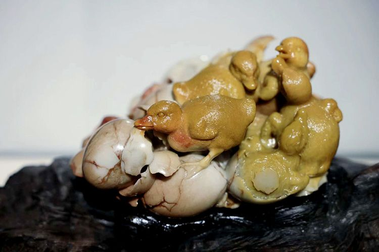 图片6.png 图片6.png