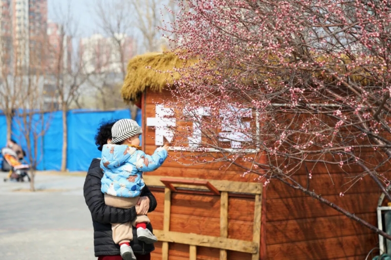 1. 常营公园 ：常营之窗公号 800.jpg