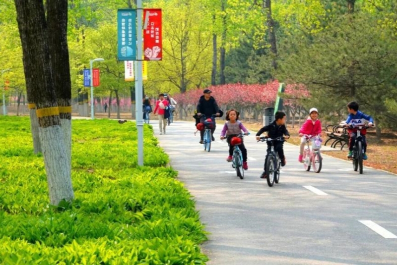 40.共青滨河 京报网 800.jpg