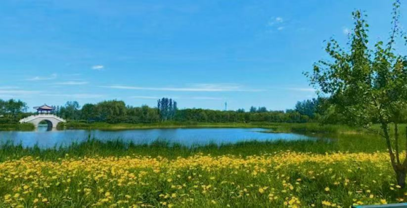 内容 800 1 .png 内容 800 1 .png