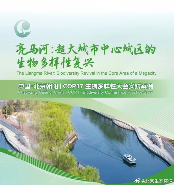 文中图 600.png