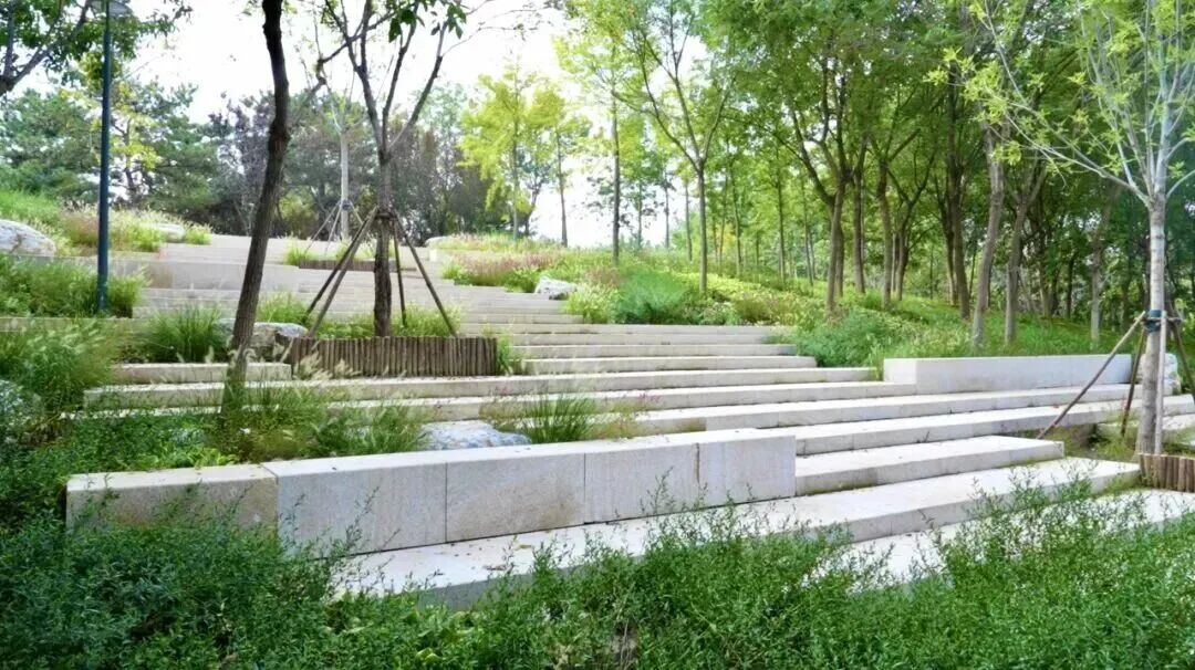 图片 7.png 图片 7.png