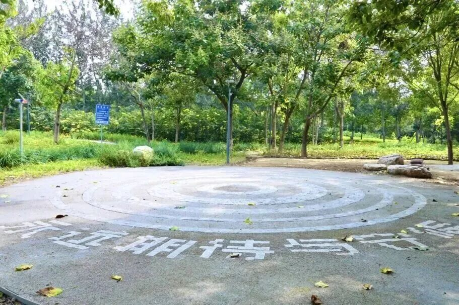 图片 8.png 图片 8.png