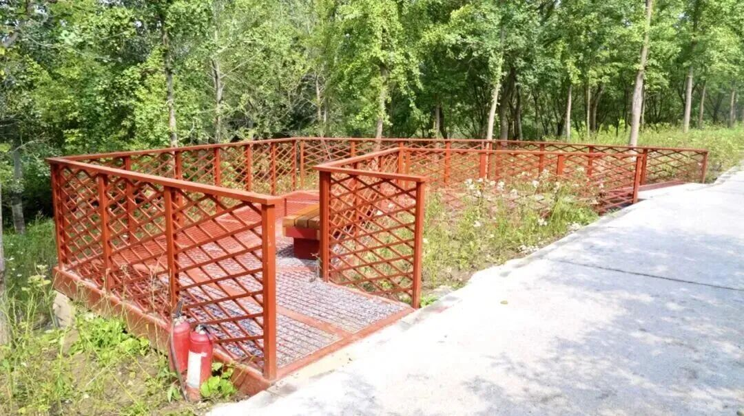 图片 9.png 图片 9.png