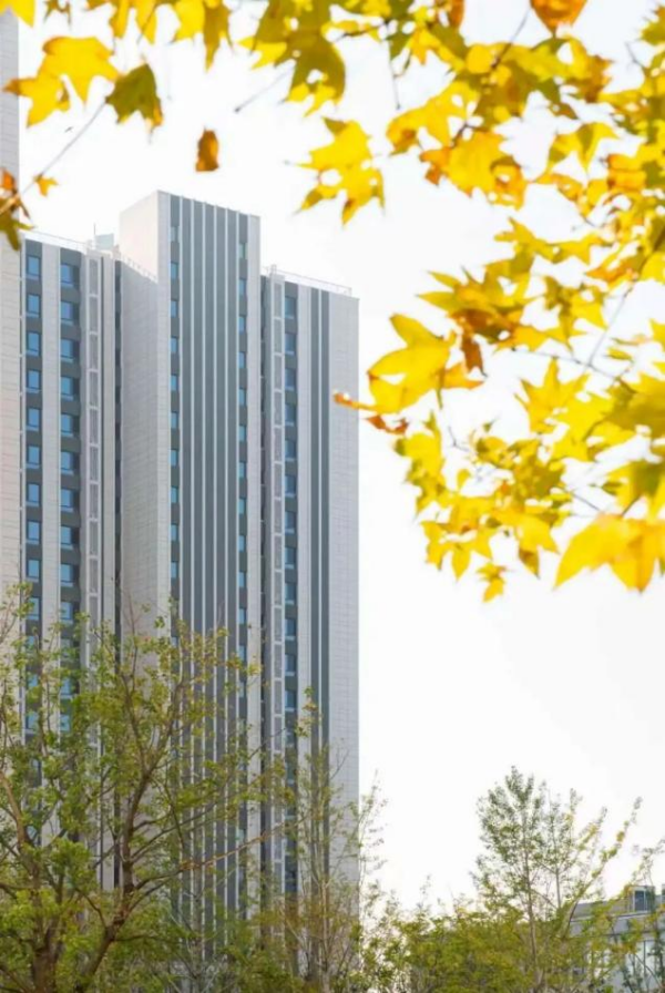 图片 1.png 图片 1.png