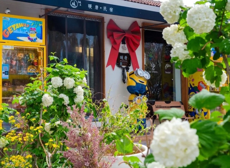 图片 2.jpg 图片 2.jpg