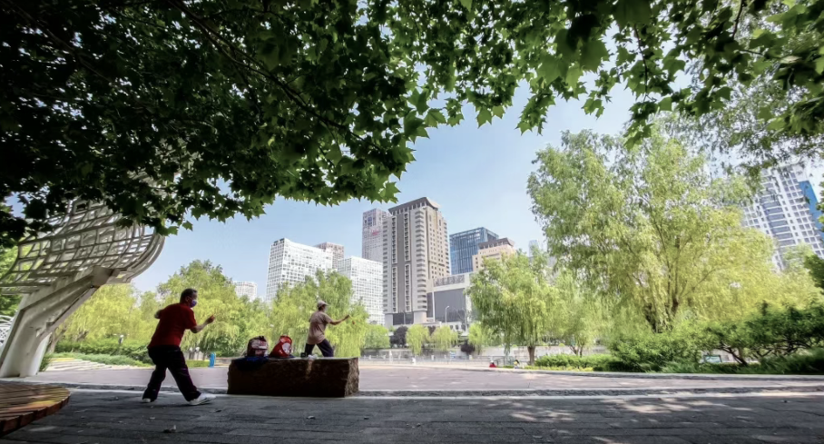 图片5 手动800.png