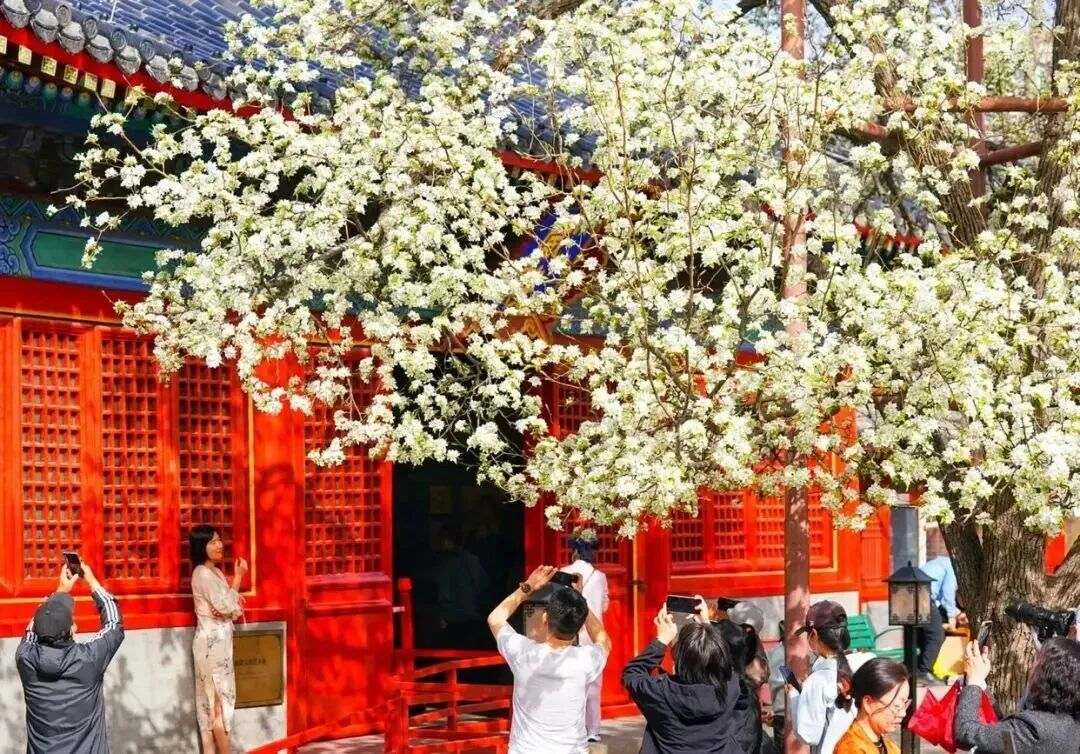 图片7 手动800.png