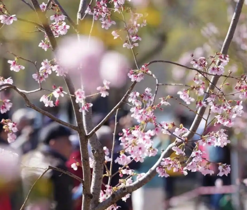 图片2 北京日报.jpg 图片2 北京日报.jpg