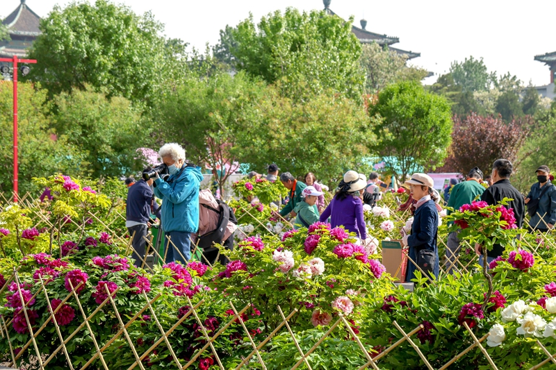 正文800.jpg 正文800.jpg