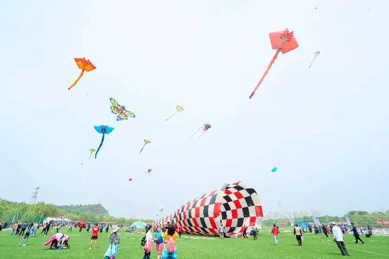 风筝节 正文800.png