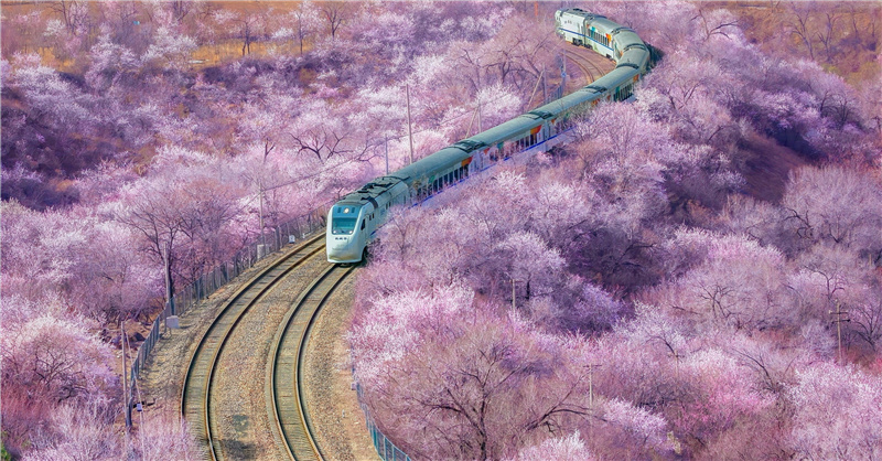 内容页 VCG.jpg 内容页 VCG.jpg